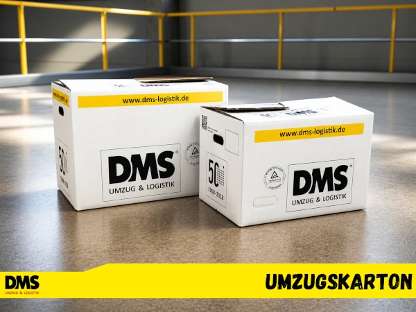 Umzugskarton